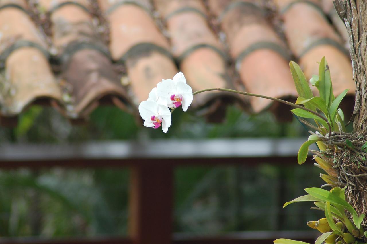 Eco Vila Beija Flor Casa de férias